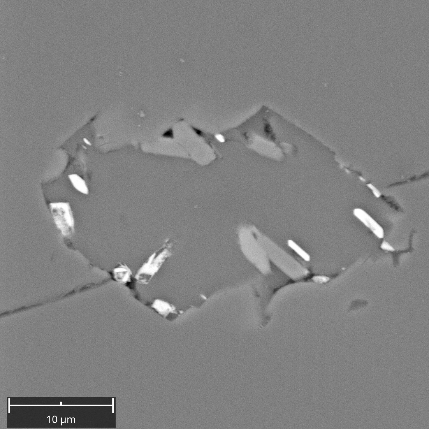 Composite carbonate inclusion in olivine. Carbonate contains microphenocrysts of barite, clinopyroxene and magnetite. Courtesy of Rosatelli Gianluigi