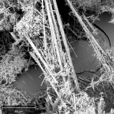 Asbesto fibers. Cortesy of Rosatelli Gianluigi