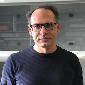 Fabio Verginelli